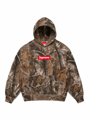 SUPREME BOX LOGO HOODED SWEATSHIRT REALTREE AP CAMO (FW25)